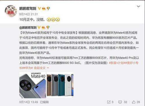 余承东爆料视频大全集,揭秘华为科技背后的故事与未来展望